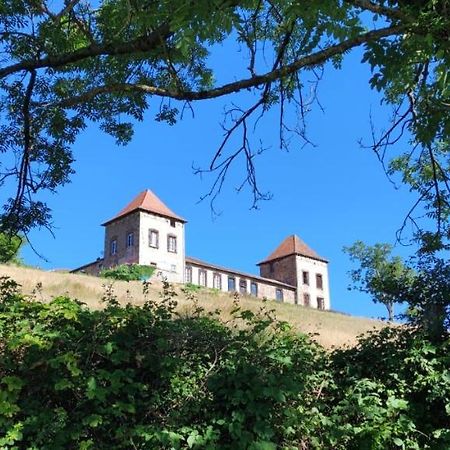 Chateau De Gorze Germolles-sur-Grosne المظهر الخارجي الصورة